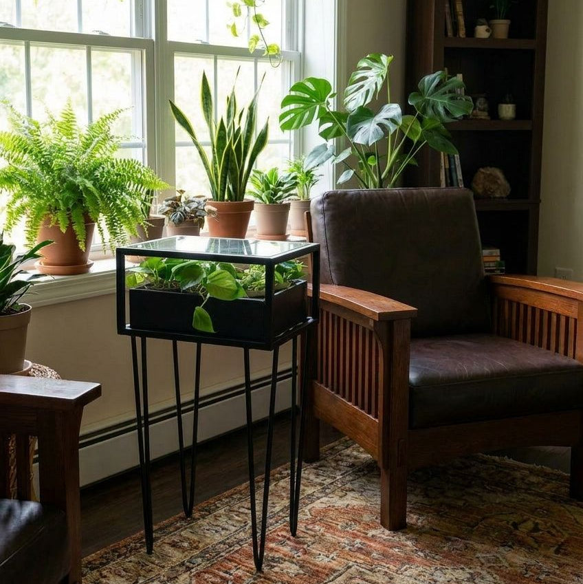 Understory - The Living Side Table